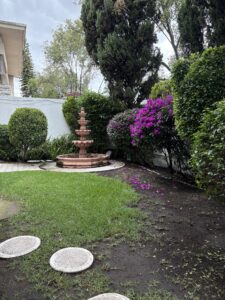 prueba terreno